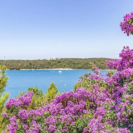 Fronte Mare A Con Vista Mare Sulla Casa
